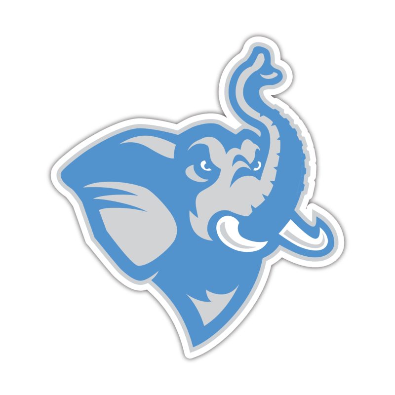Tufts University Full Color Vinyl Decal - Custom Size