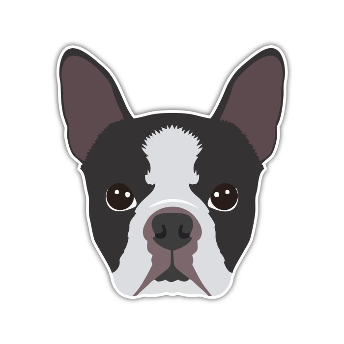 Boston Terrier - Full Color Vinyl Sticker - Custom Size