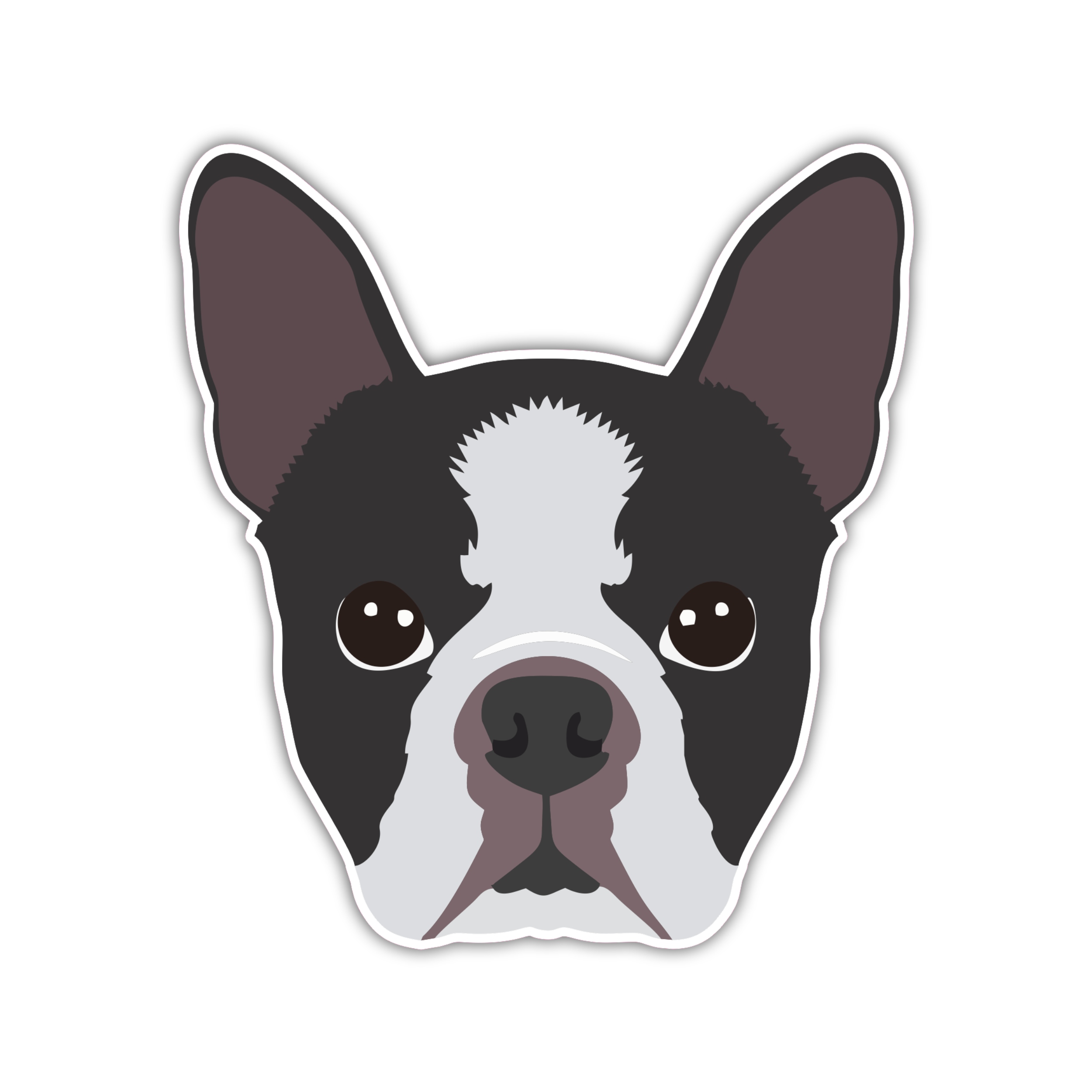 Boston Terrier - Full Color Vinyl Sticker - Custom Size