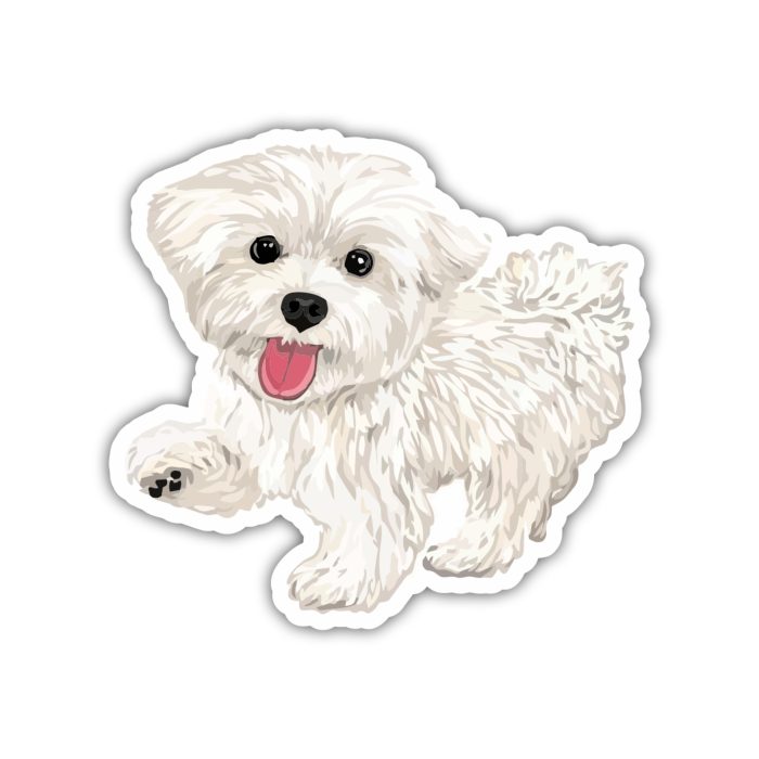 Maltese - Full Color Vinyl Sticker - Custom Size