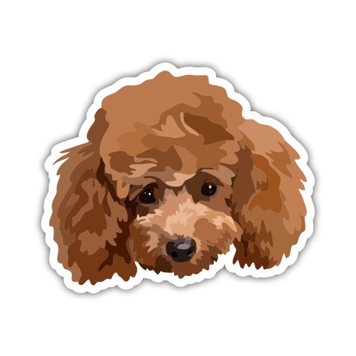 Poodle - Full Color Vinyl Sticker - Custom Size