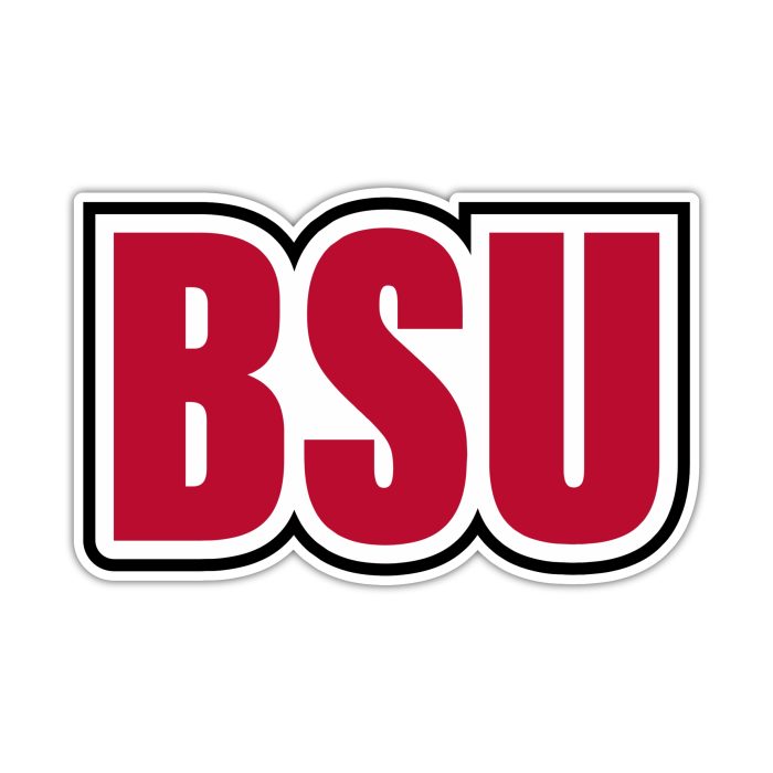 Ball State Cardinals - BSU 2 - Full Color Vinyl Decal - Custom Size