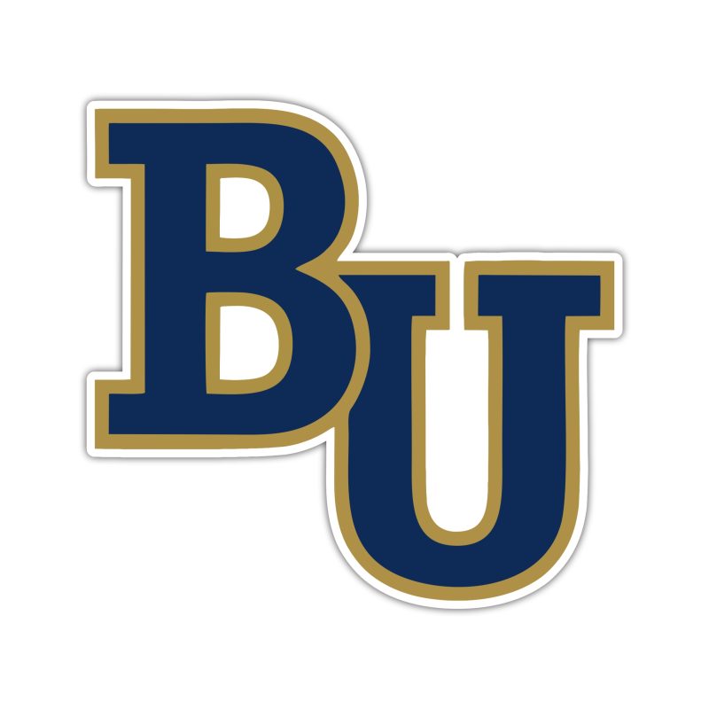 Bethel University - BU - Full Color Vinyl Decal - Custom Size