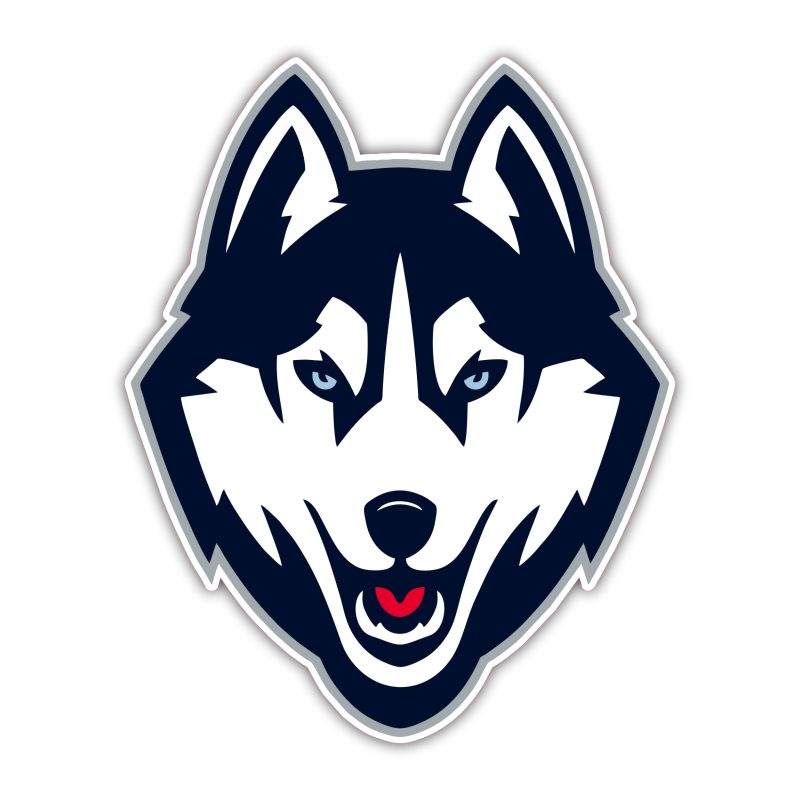 UConn - Head - Full Color Vinyl Decal - Custom Size
