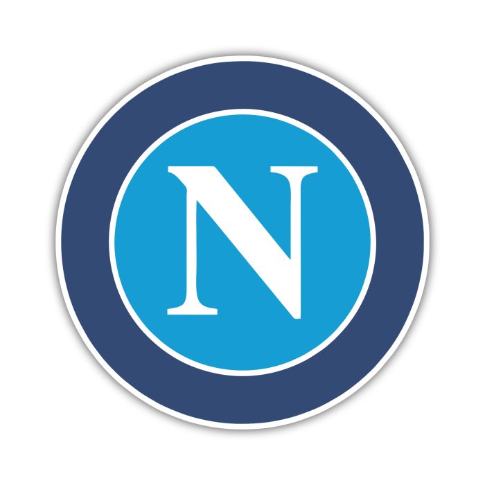 Custom for Jim - Napoli Logo - Full Color Vinyl Decal - Custom Size