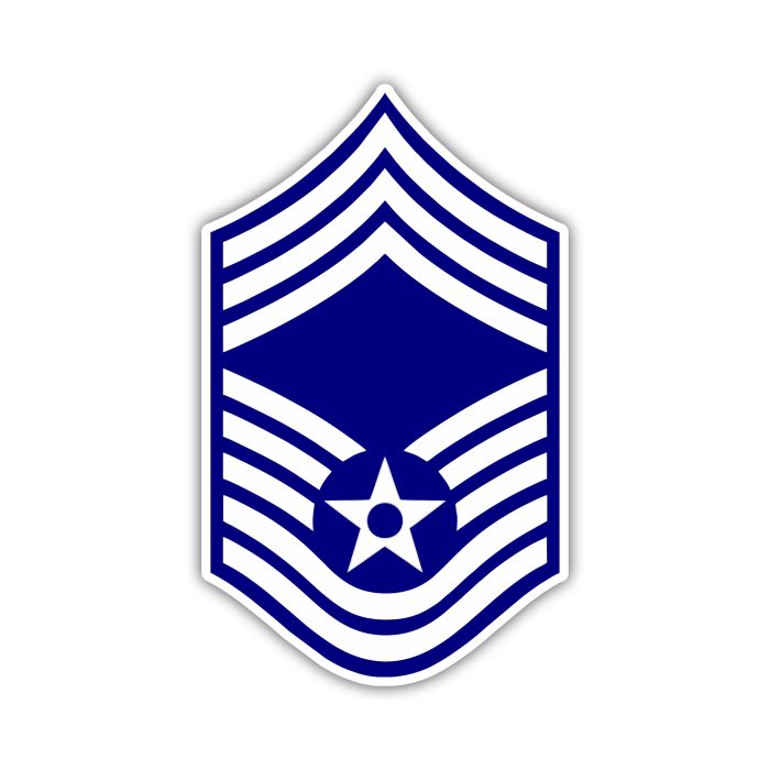 Air Force - E-9 - Full Color Vinyl Decal