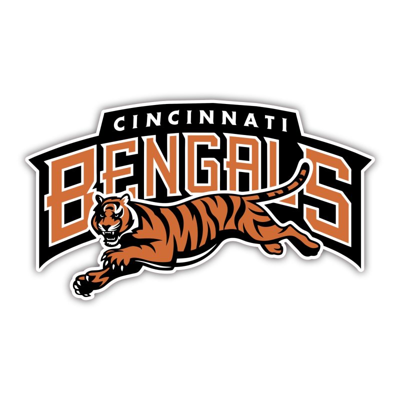 Custom for Cindy's Blitz Board - Bengals - Full Color - Custom Size