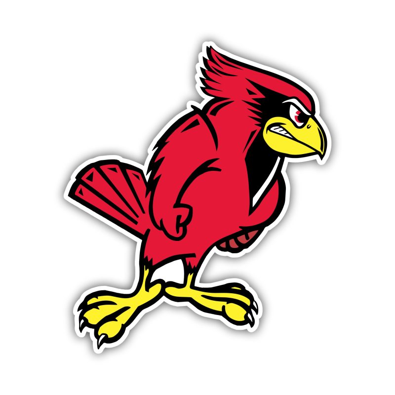 University of Illinois Full Color Vinyl Decal - Custom Size