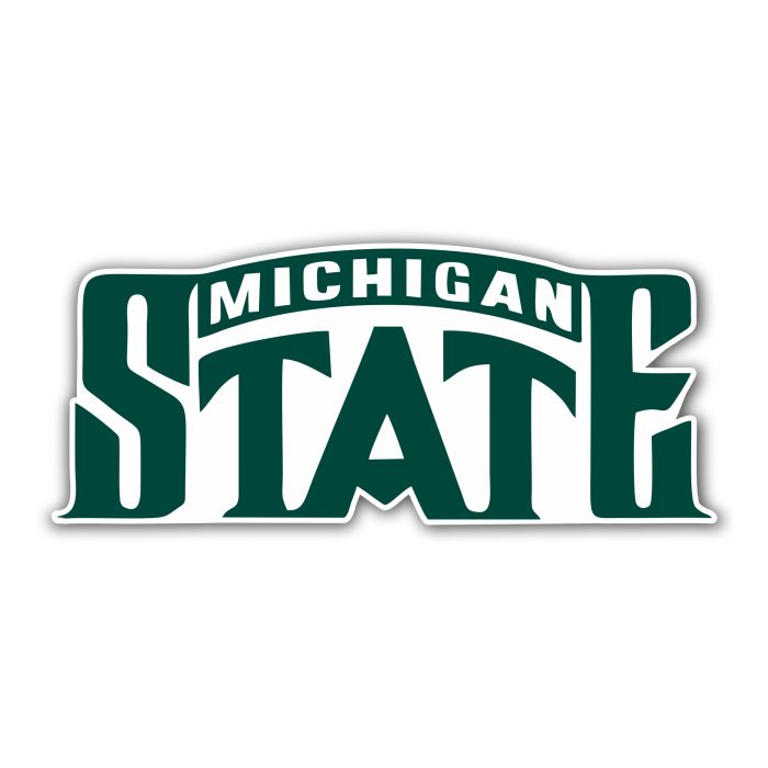 Michigan State Spartans - Logo Name - Temporary Tattoo