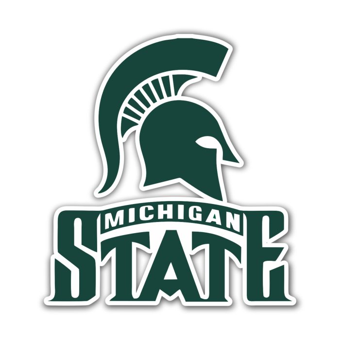 Michigan State Spartans - Helmet With Logo Name - Temporary Tattoo