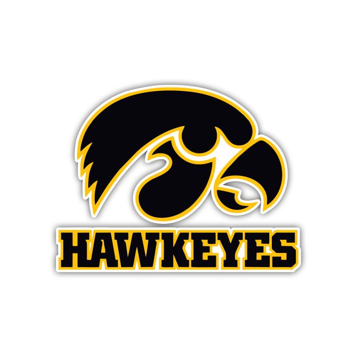 Iowa Hawkeyes - Black Hawkeye -  Full Color Vinyl Decal - Custom Size