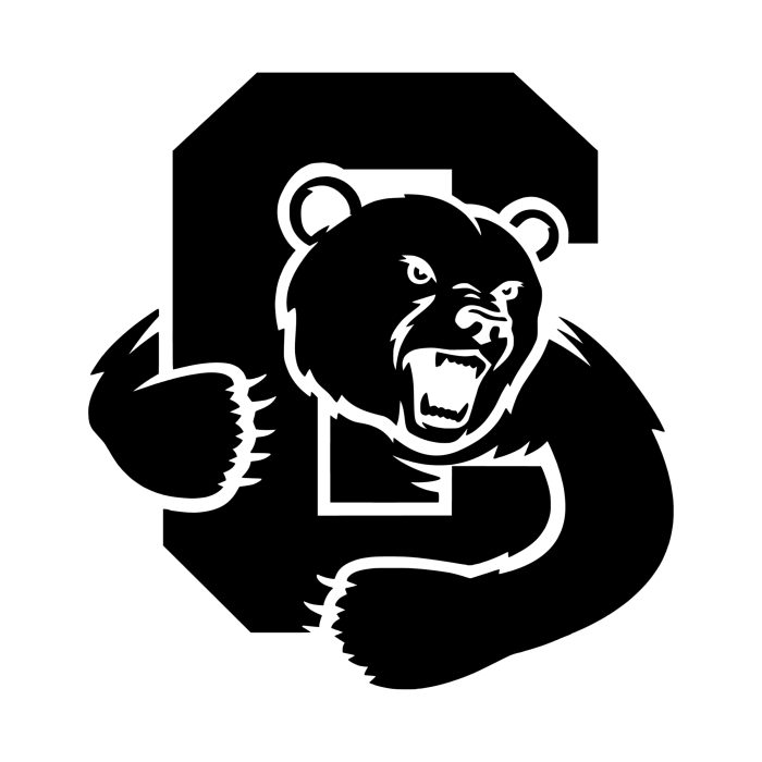 Cornell Big Red Decal - Custom Size