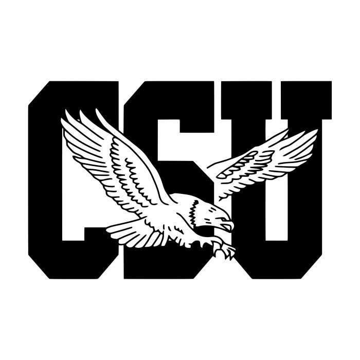 Coppin State Eagles Decal - Custom Size