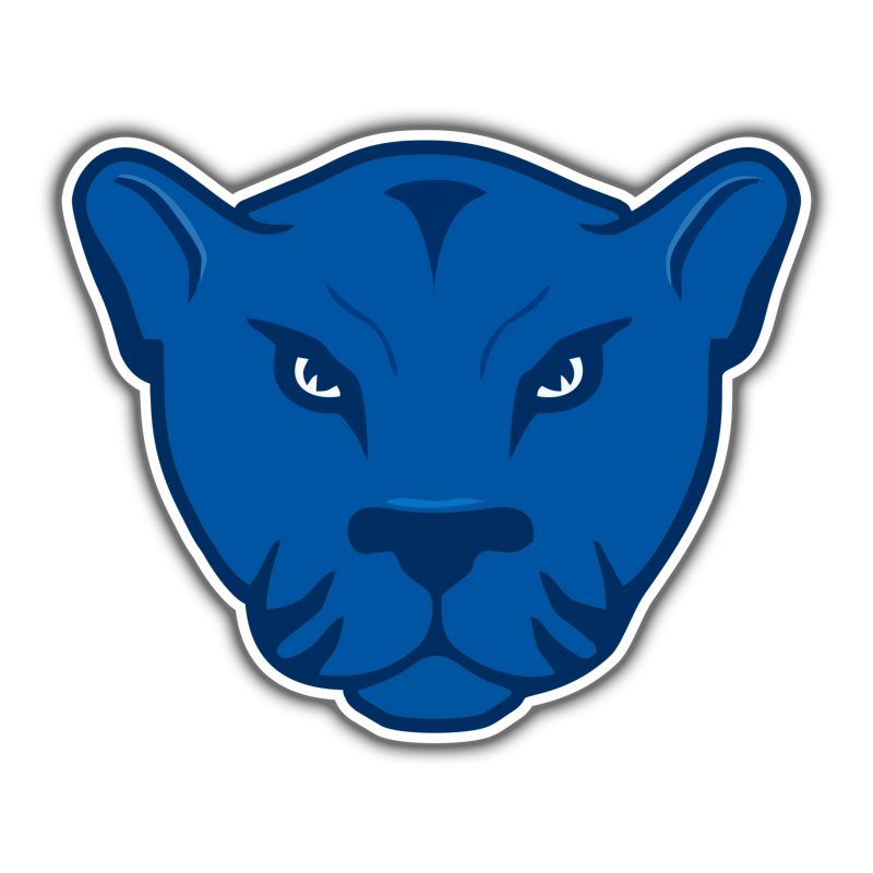 Custom for Thomas - Full Color Vinyl Decal