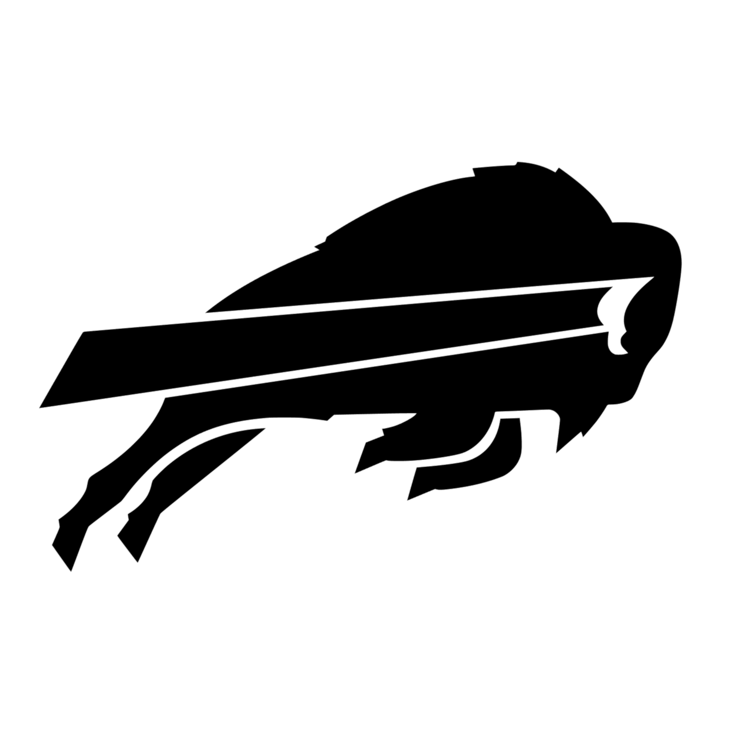 Buffalo Bills Vinyl Decal - Custom Size