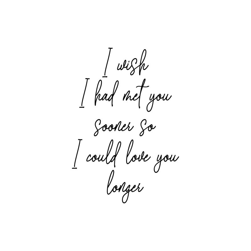 I Wish I Had Met You Sooner So I Could Love You Longer - Vinyl Decal - Custom Size