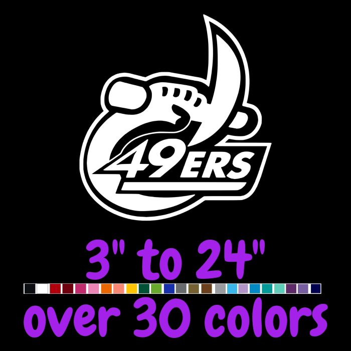 CHARLOTTE 49ERS VINYL DECAL - CUSTOM SIZE