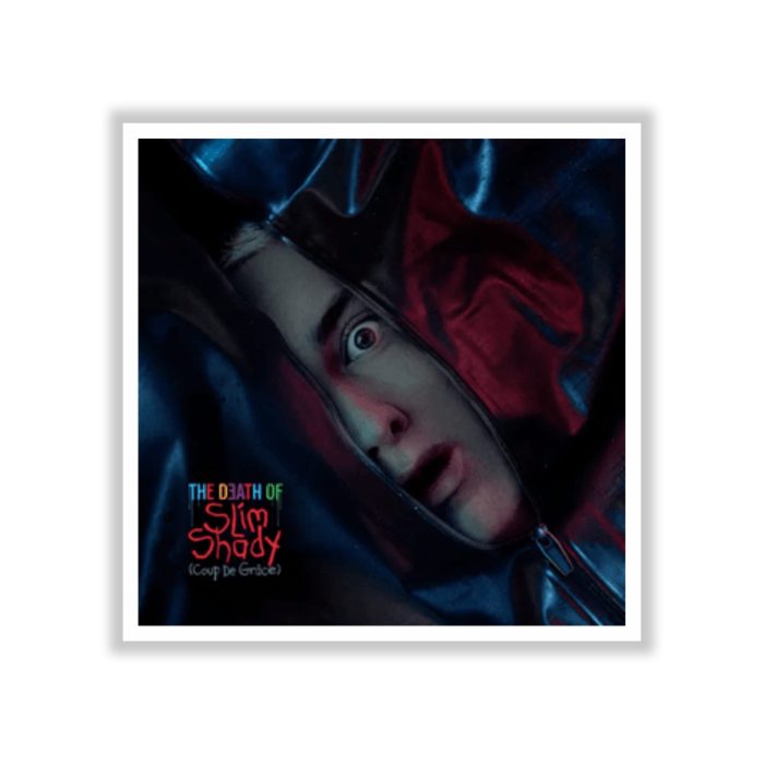Eminem - The Death Of Slim Shady Album Cover - Full Color Vinyl Sticker - Custom Size
