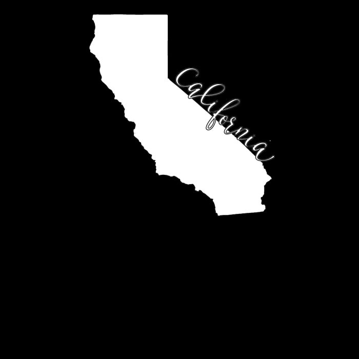 State of California - Custom Size - Image 8