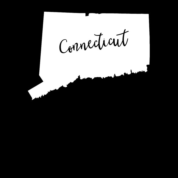 State of Connecticut - Custom Size - Image 10