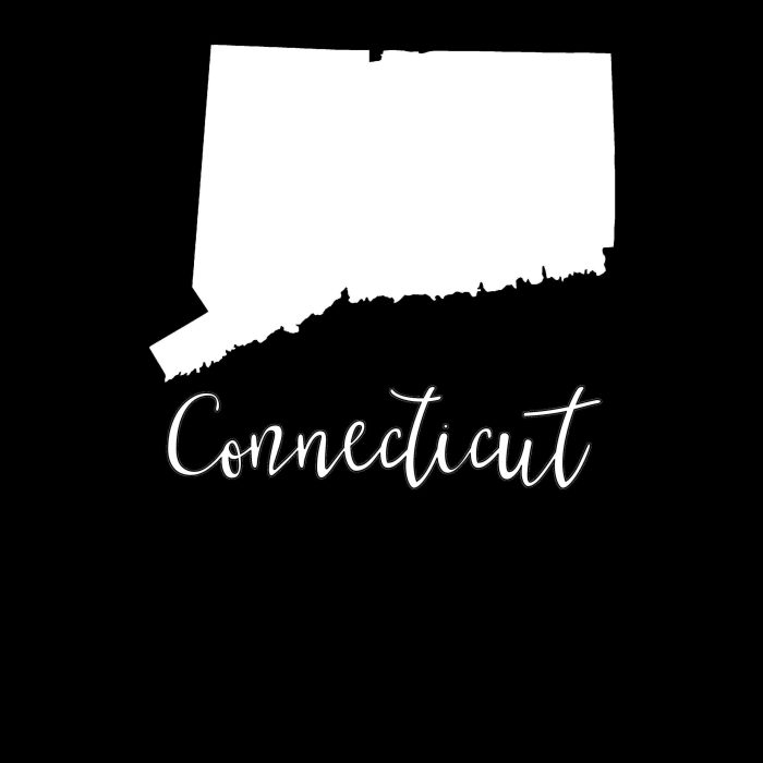 State of Connecticut - Custom Size - Image 8