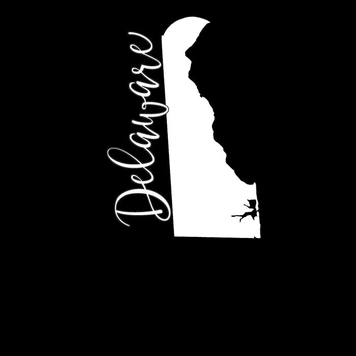 State of Delaware Vinyl Decal - Custom Size - Image 8
