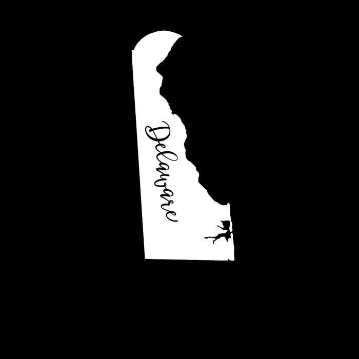 State of Delaware Vinyl Decal - Custom Size - Image 10