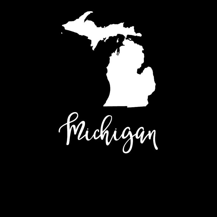 State of Michigan - Custom Size - Image 8