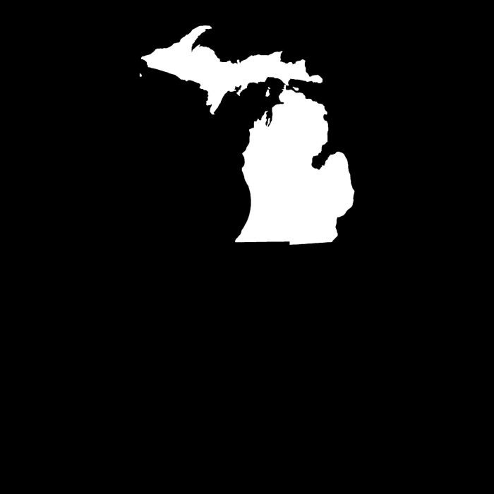 State of Michigan - Custom Size - Image 9