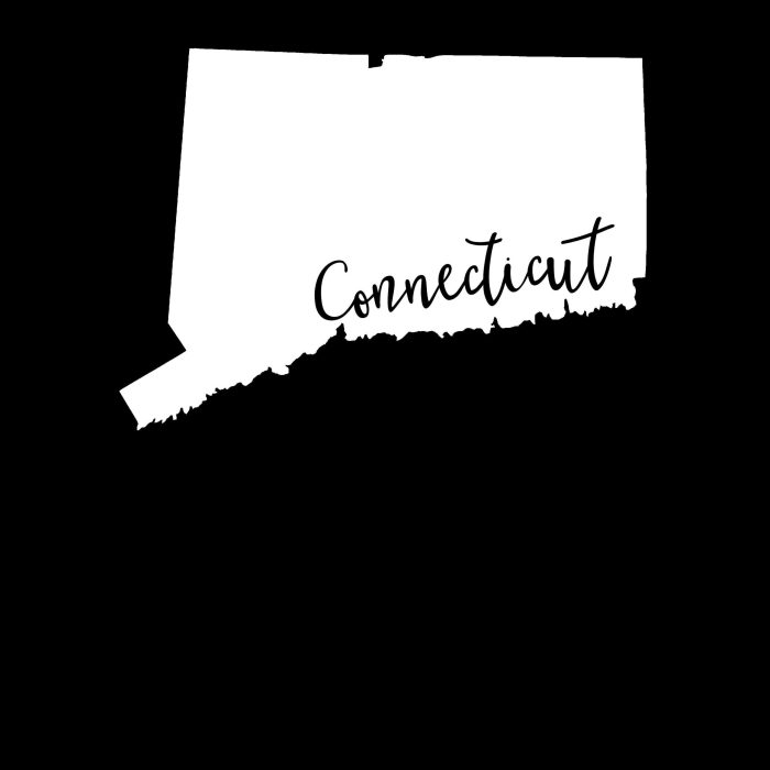State of Connecticut - Custom Size - Image 9