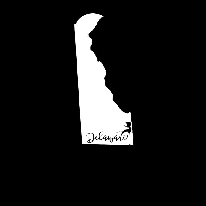 State of Delaware Vinyl Decal - Custom Size - Image 9