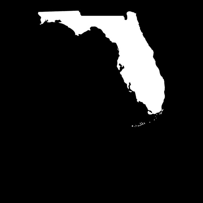 Florida - Custom Size - Image 8