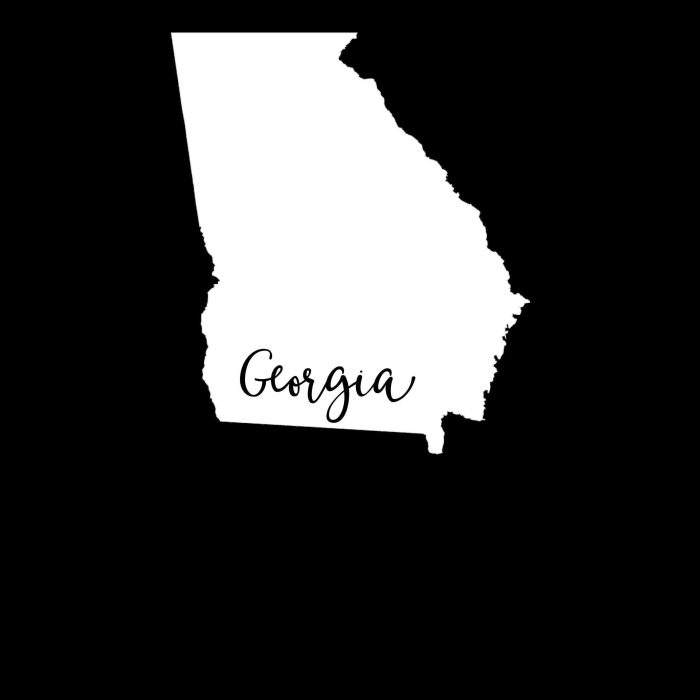 State of Georgia - Custom Size - Image 8