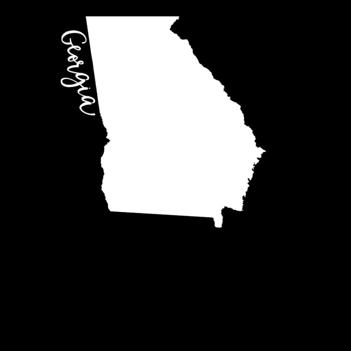 State of Georgia - Custom Size - Image 9