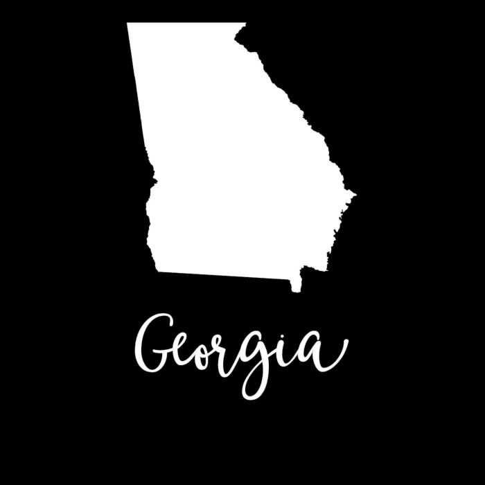 State of Georgia - Custom Size - Image 10