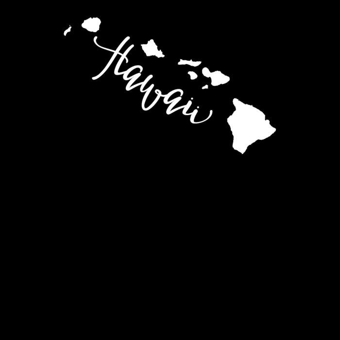 State of Hawaii - Custom Size - Image 8