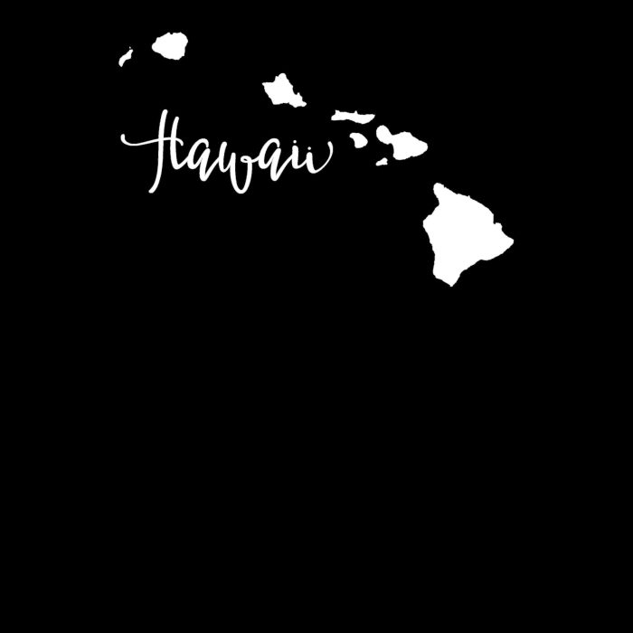 State of Hawaii - Custom Size - Image 10
