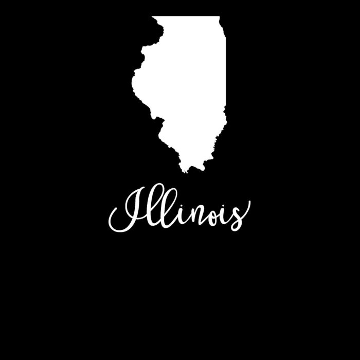 State of Illinois - Custom Size - Image 8
