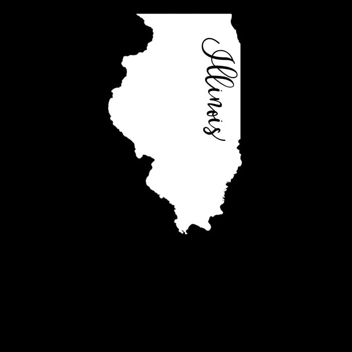 State of Illinois - Custom Size - Image 10