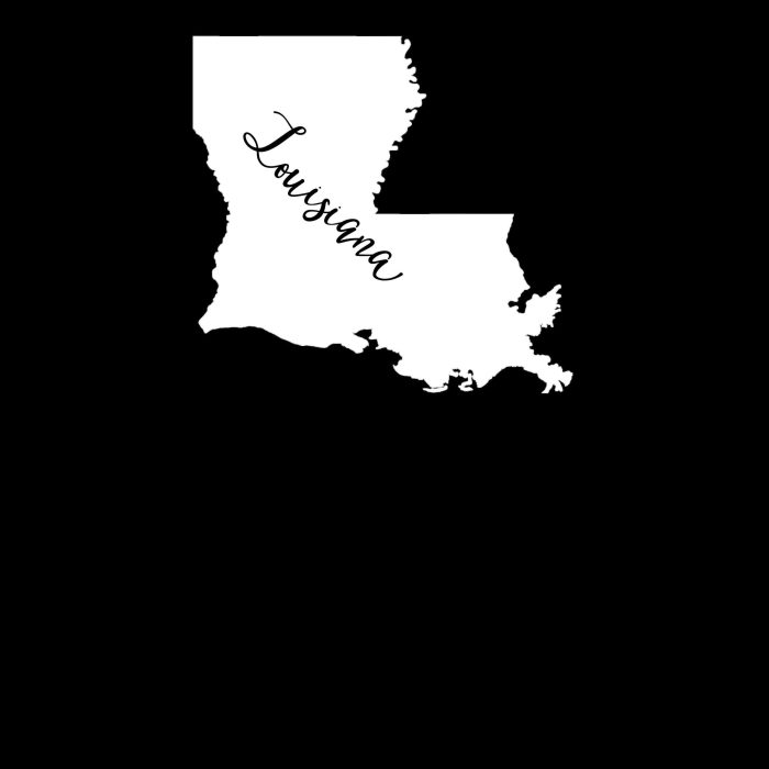 State of Louisiana Vinyl Decal - Custom Size - Image 8