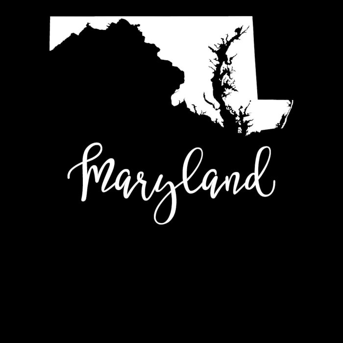 State of Maryland - Custom Size - Image 10