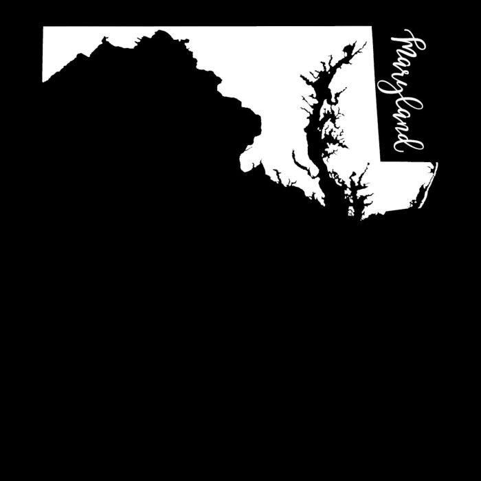 State of Maryland - Custom Size - Image 8