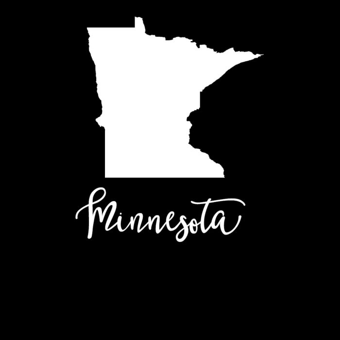 State of Minnesota Vinyl Decal - Custom Size - Image 9