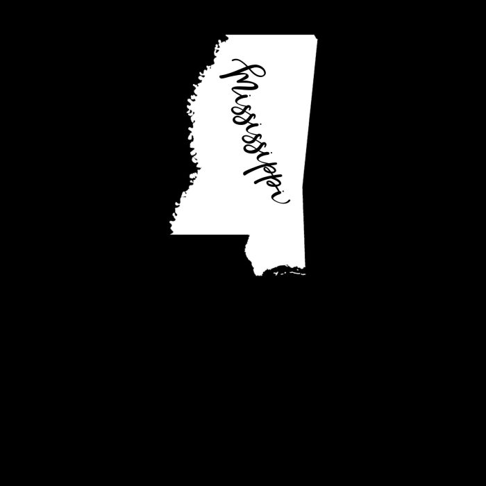 State of Mississippi Vinyl Decal - Custom Size - Image 10
