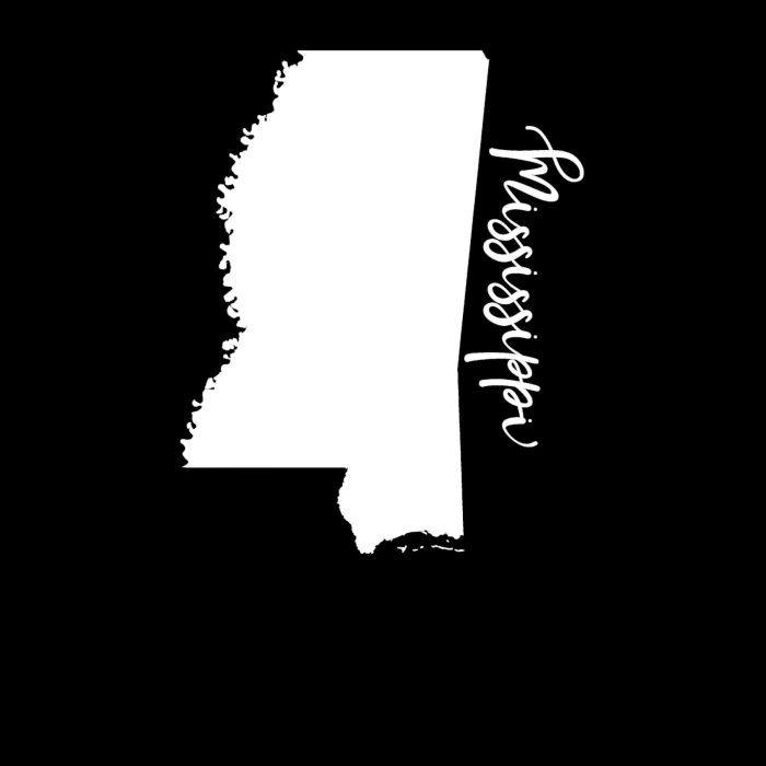 State of Mississippi Vinyl Decal - Custom Size - Image 8