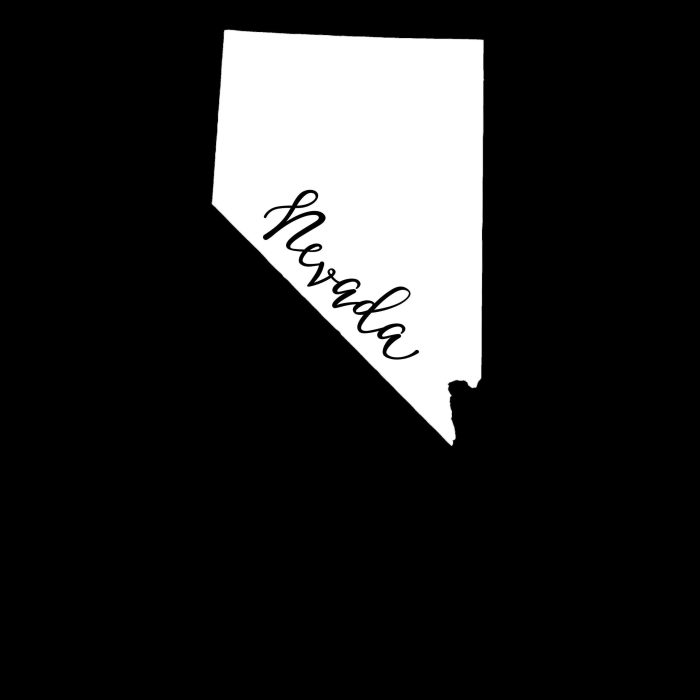 State of Nevada - Custom Size - Image 8