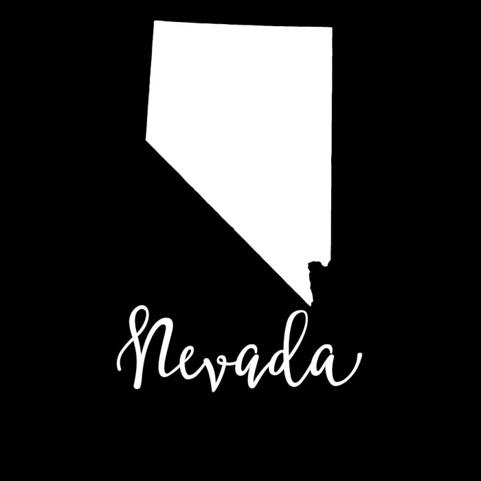 State of Nevada - Custom Size - Image 9