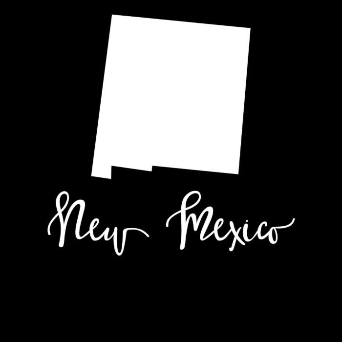 State of New Mexico - Custom Size - Image 9