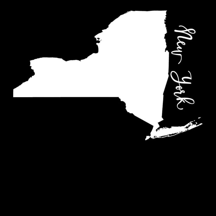 State of New York - Custom Size - Image 8