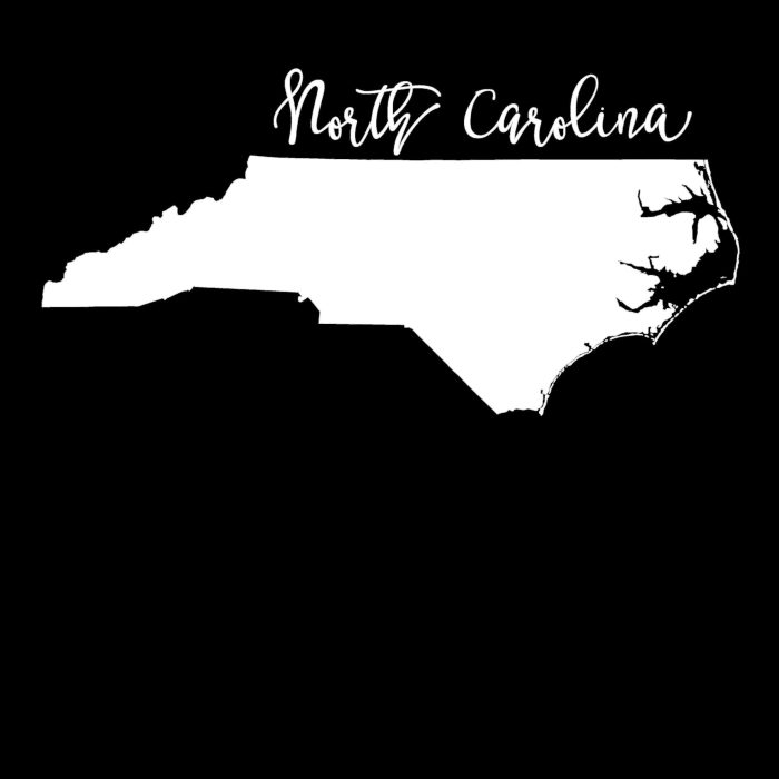 State of North Carolina - Custom Size - Image 8